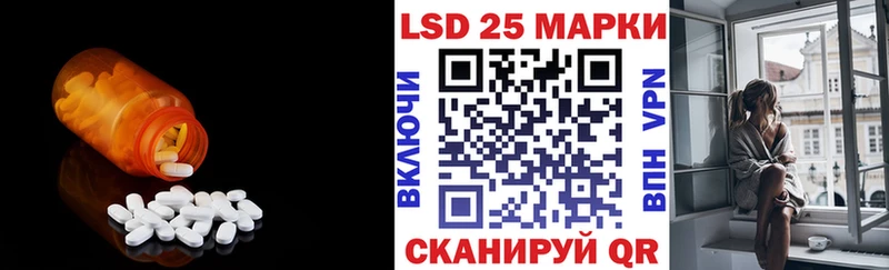 KRAKEN как зайти  Суджа  Лсд 25 экстази кислота 