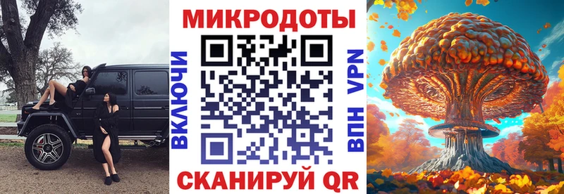 Галлюциногенные грибы прущие грибы  Суджа 