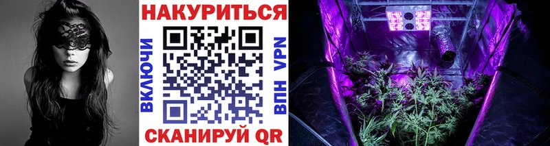 Бошки марихуана марихуана Суджа